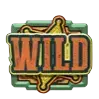 Wild symbol